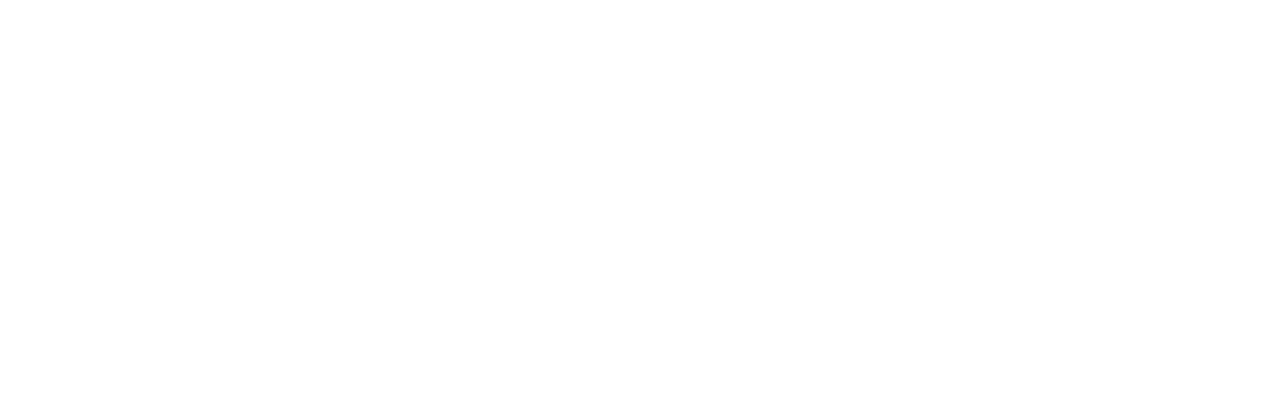 Hampden Auto Body logo white